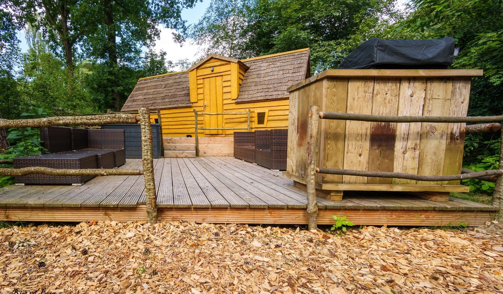 Bijzondere cabin verborgen in het bos