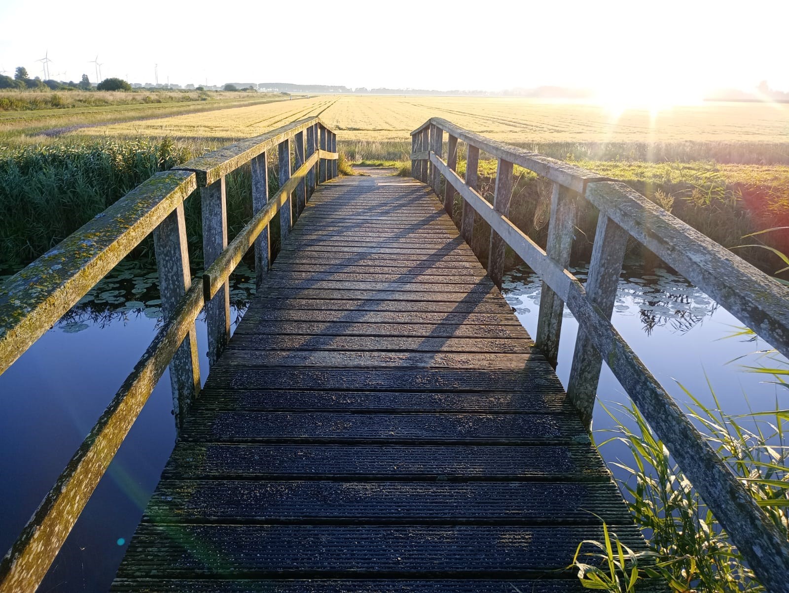 Knusse blauwe Pipowagen