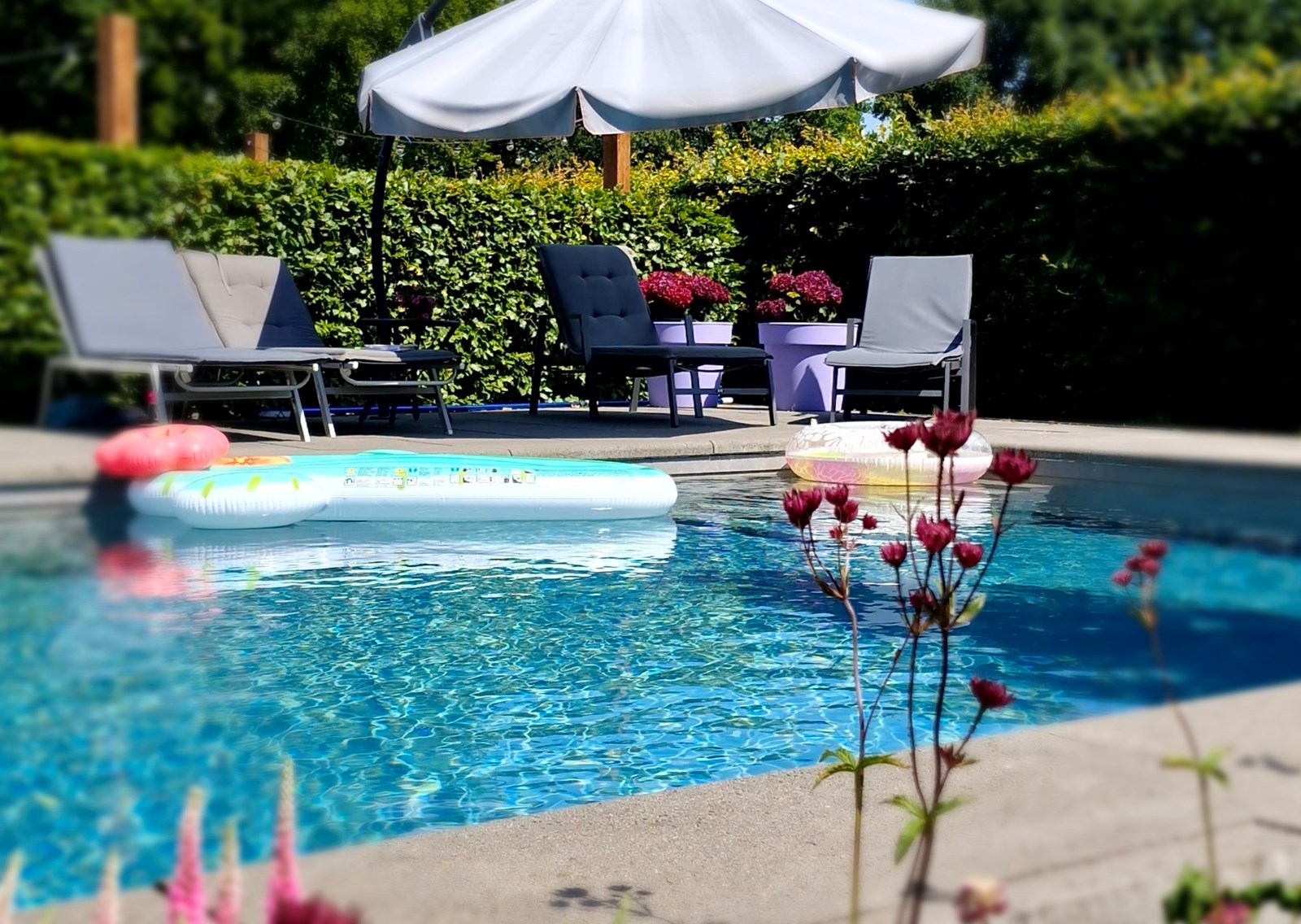 Knus en kleurrijk zoldernest boven de schuur mét hottub en zwembad
