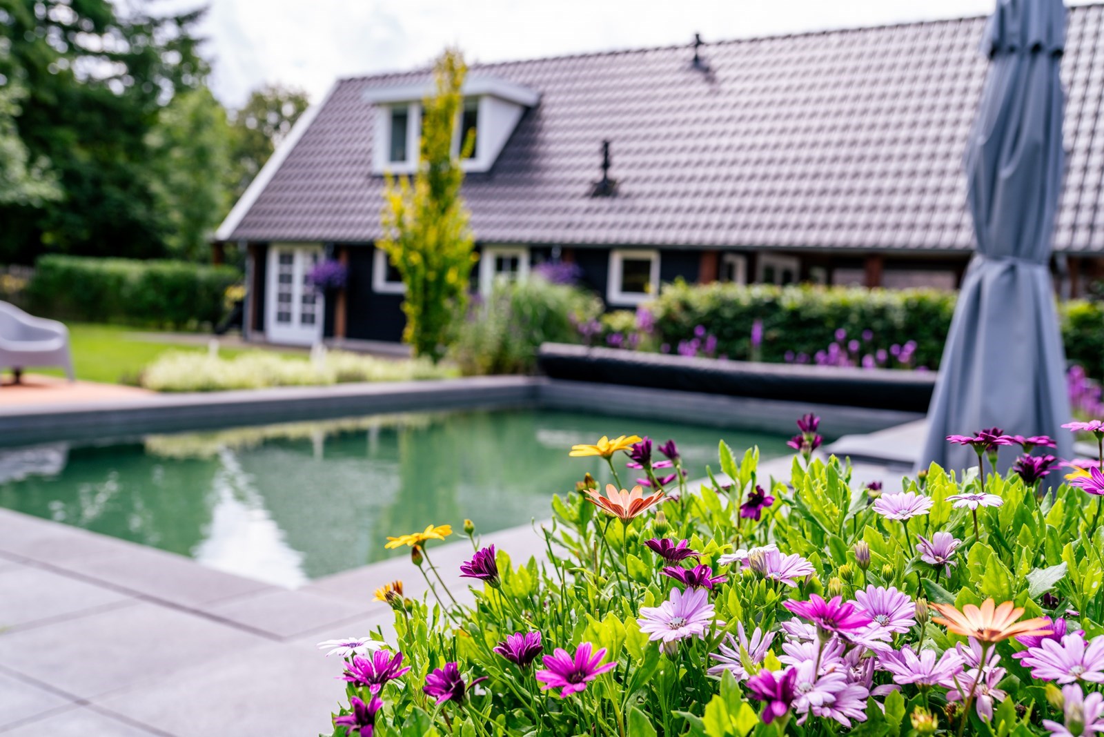 Knus en kleurrijk zoldernest boven de schuur mét hottub en zwembad