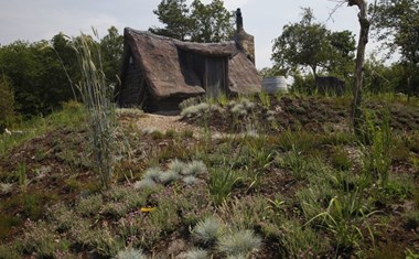 Hidden House Hidden House