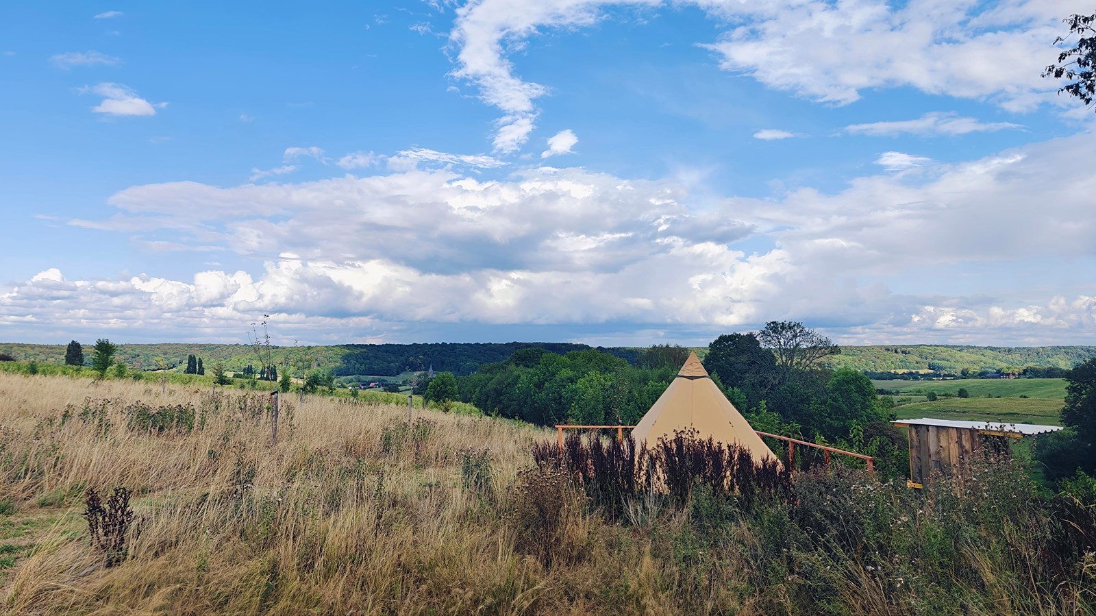 Slapen onder de sterren in een Panorama Tipi midden in een voedselbos