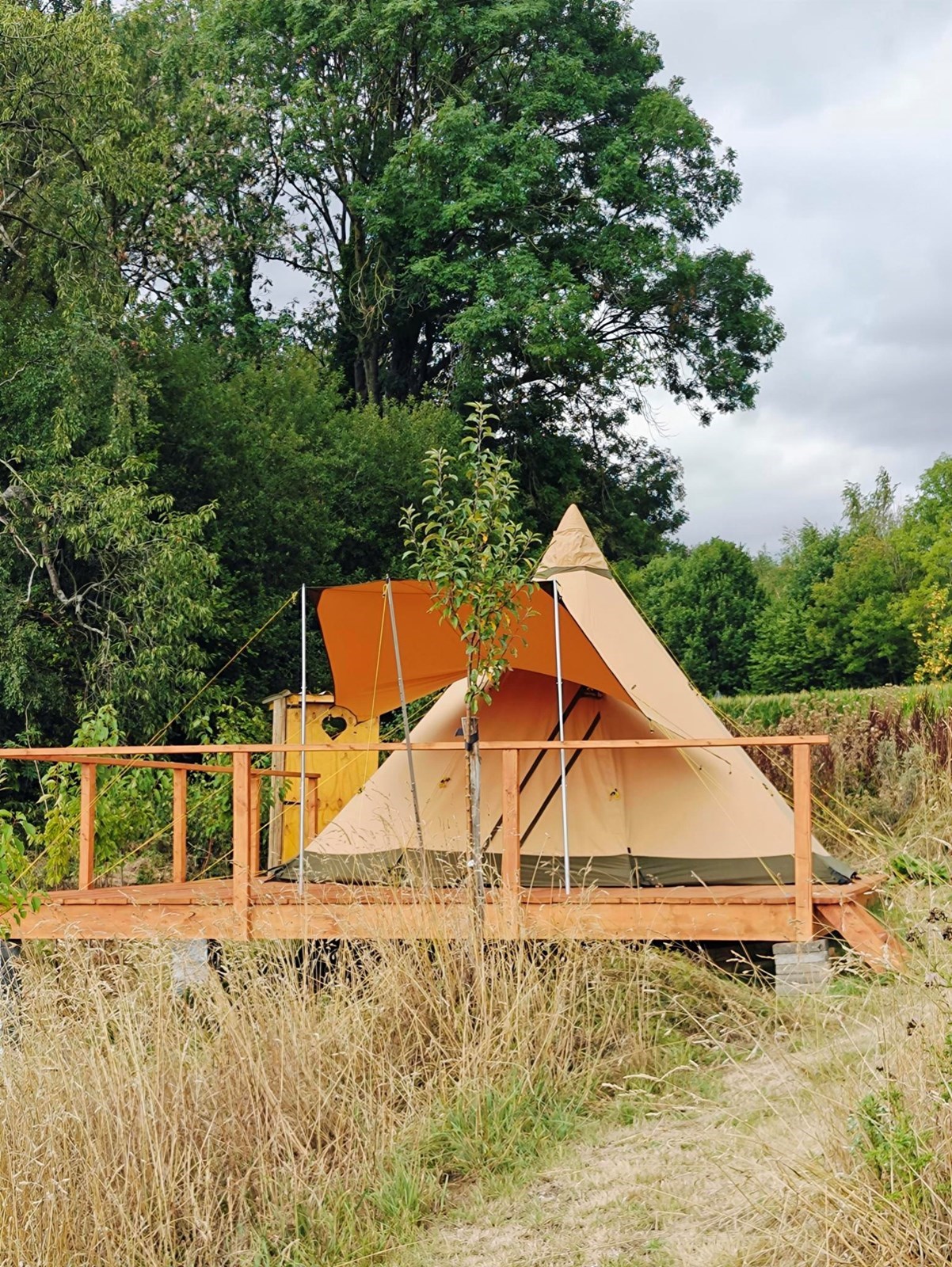 Slapen onder de sterren in een Panorama Tipi midden in een voedselbos