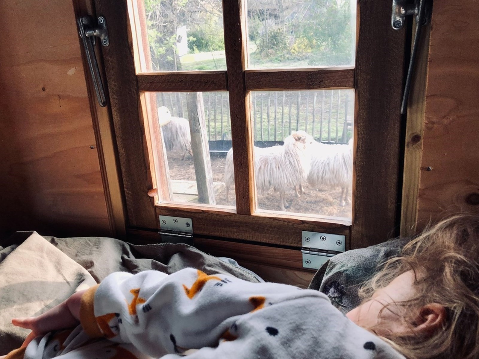 Slapen boven de schapen in een Schaapshut met hout (pellet) kachel