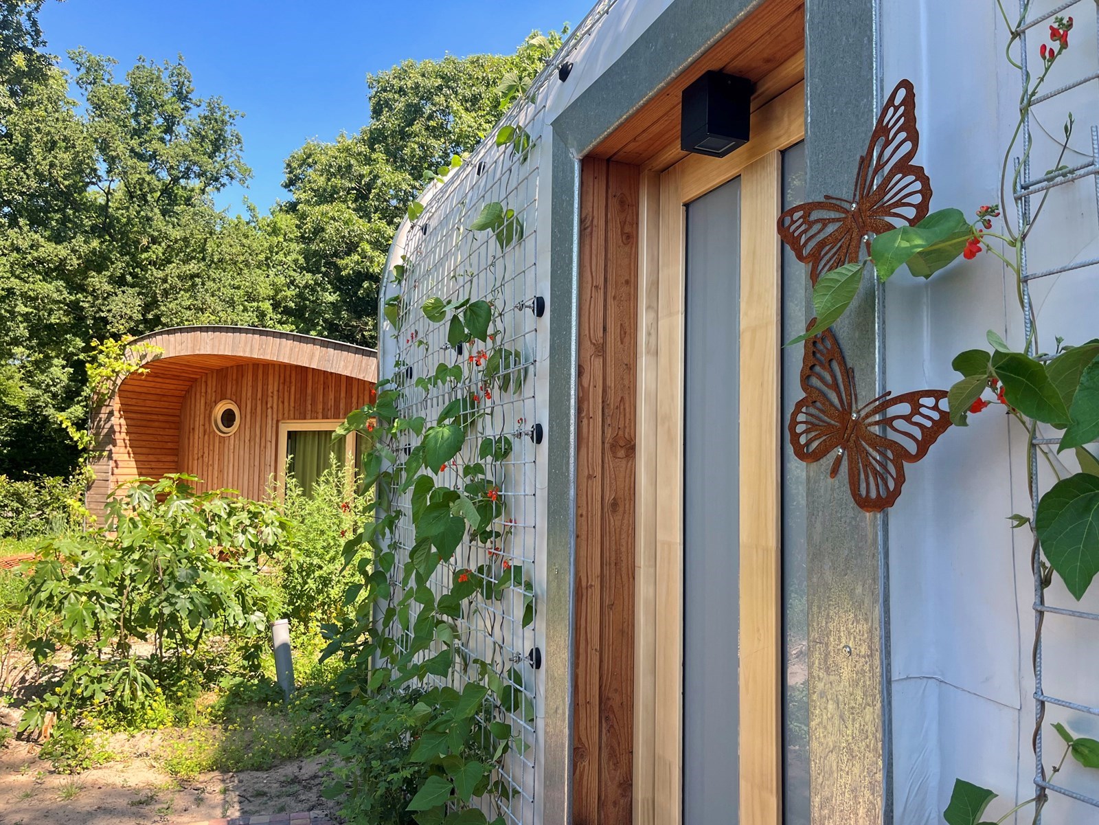 Duurzaam tiny house waar vanuit je zo het bos inloopt
