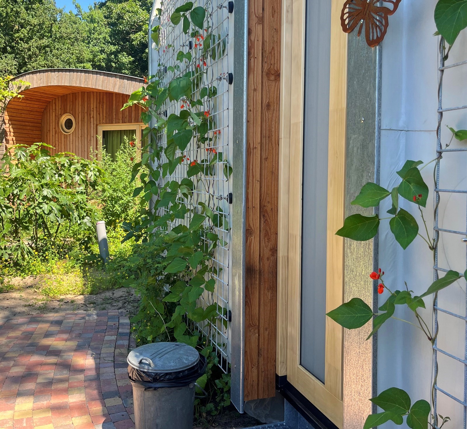 Duurzaam tiny house waar vanuit je zo het bos inloopt