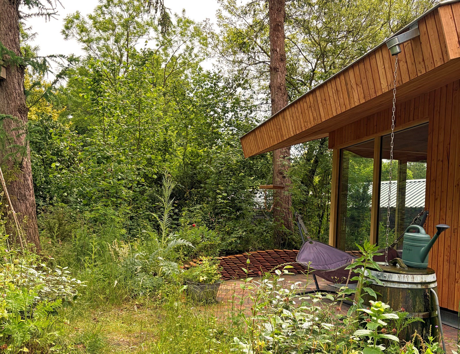 Duurzaam tiny house waar vanuit je zo het bos inloopt