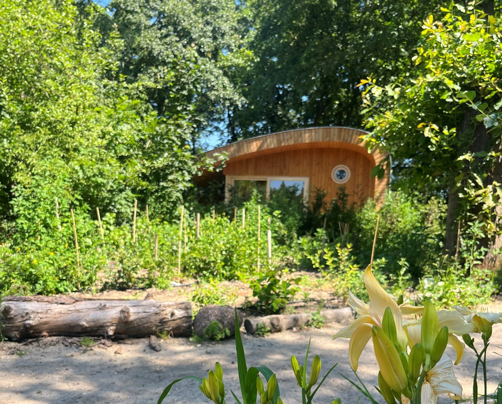 Duurzaam tiny house waar vanuit je zo het bos inloopt
