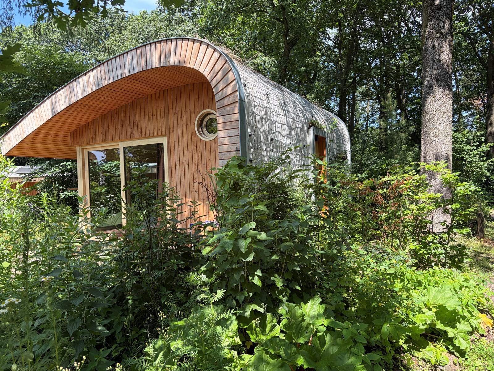 Duurzaam tiny house waar vanuit je zo het bos inloopt
