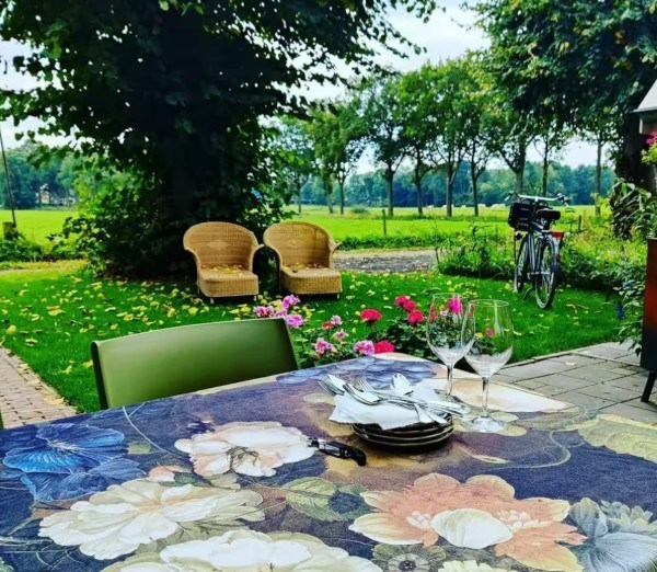 Knus vakantiehuisje tussen de dieren op het Drentse platteland
