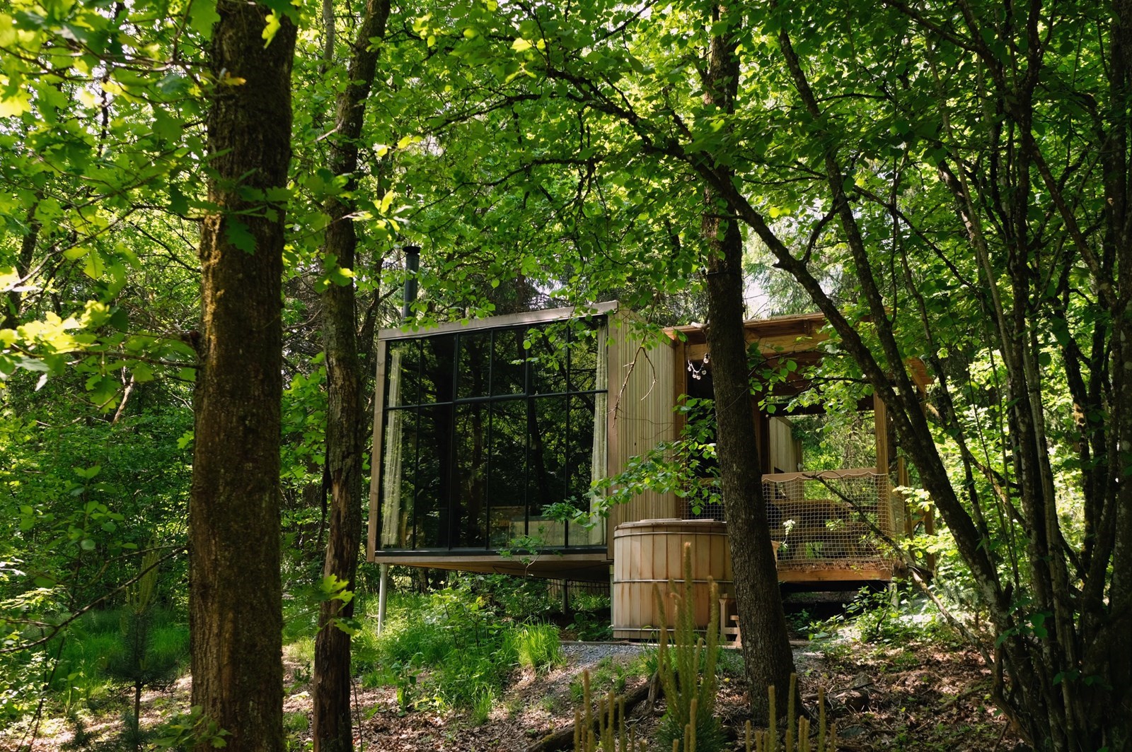 Cosy Cabins in de natuur