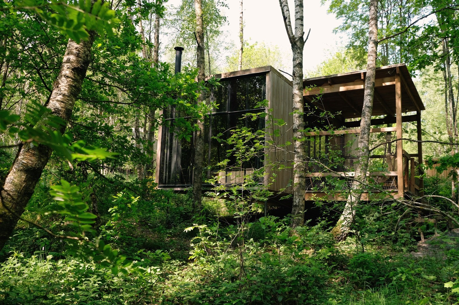 Cosy Cabins in de natuur