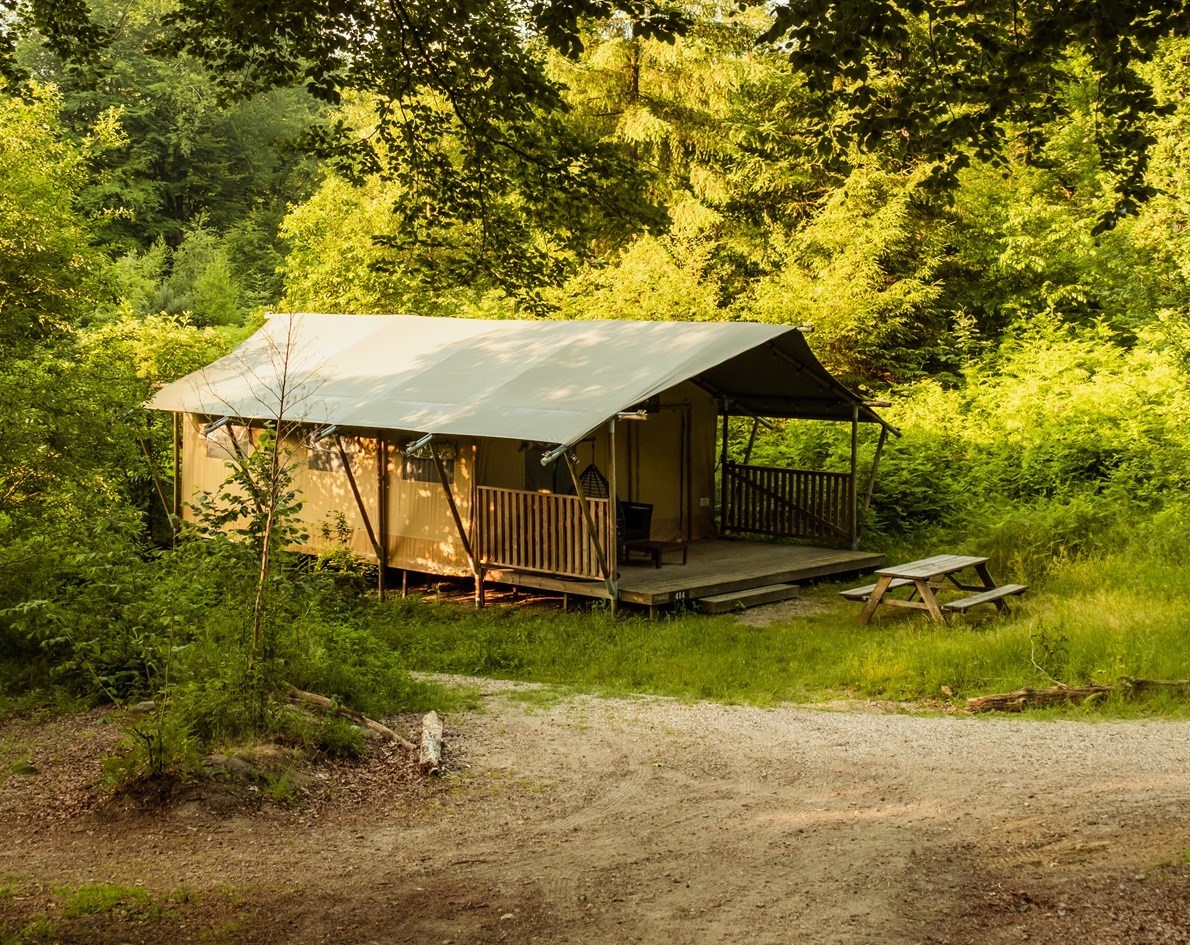 Lodgetent in het bos