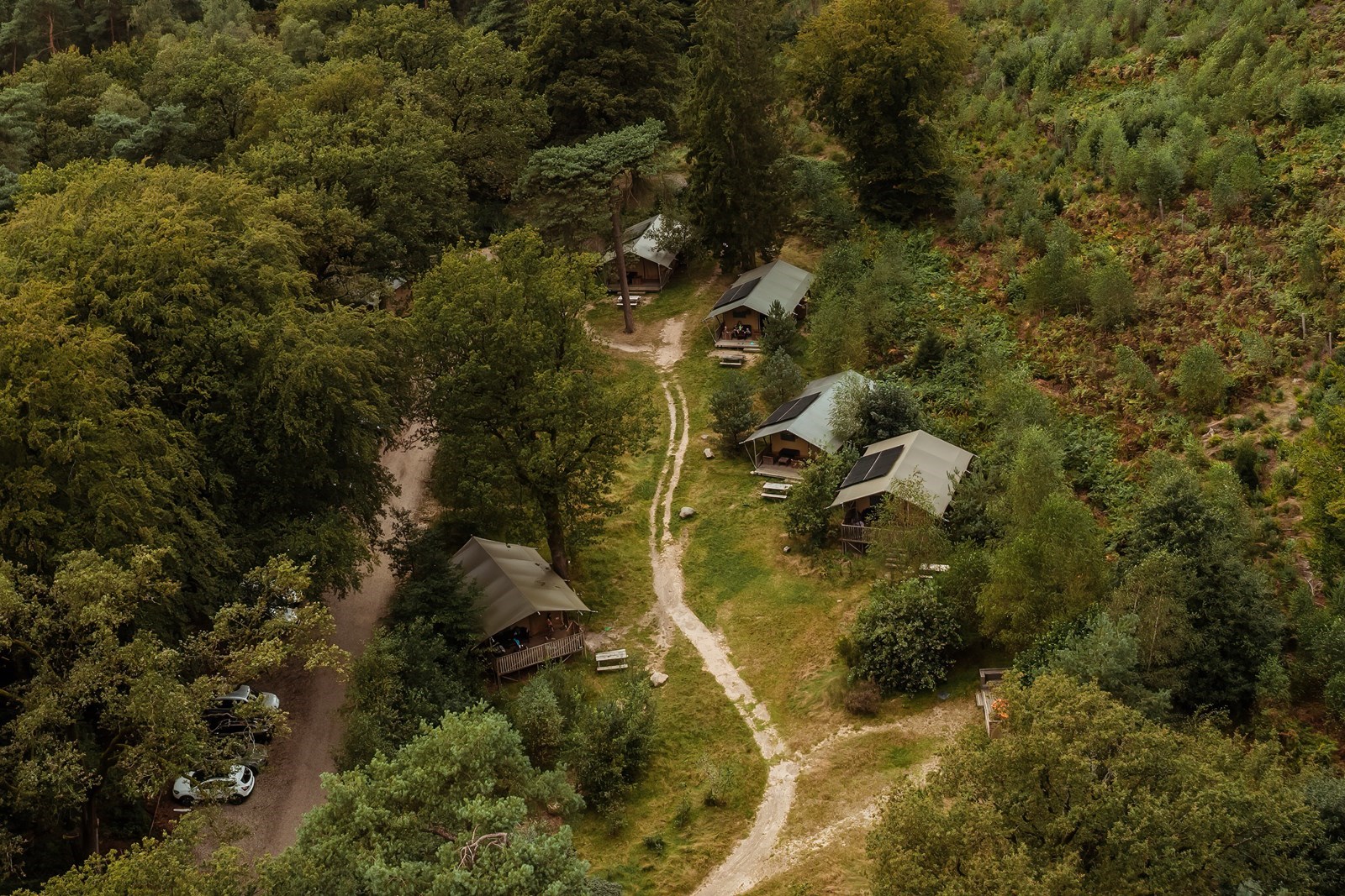 Lodgetent in het bos