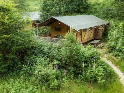Lodgetent in het bos Lodgetent in het bos