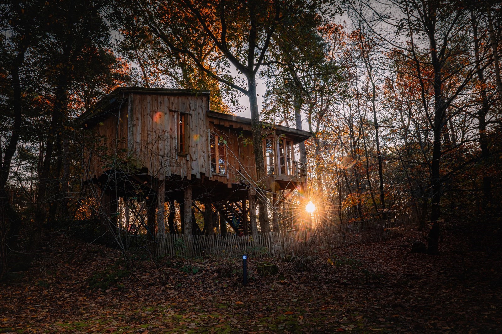 Origineel overnachten in een mega Boomhut
