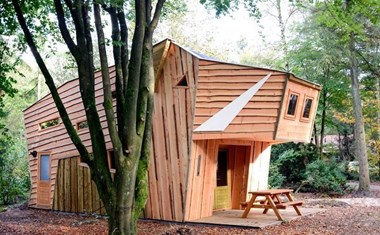 Houten Zwijn op de Veluwe Houten Zwijn op de Veluwe