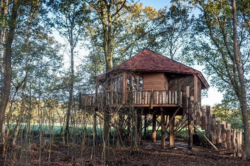 Luxe Boomhut met jacuzzi