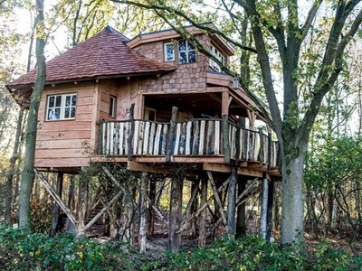 Luxe Boomhut met jacuzzi Luxe Boomhut met jacuzzi