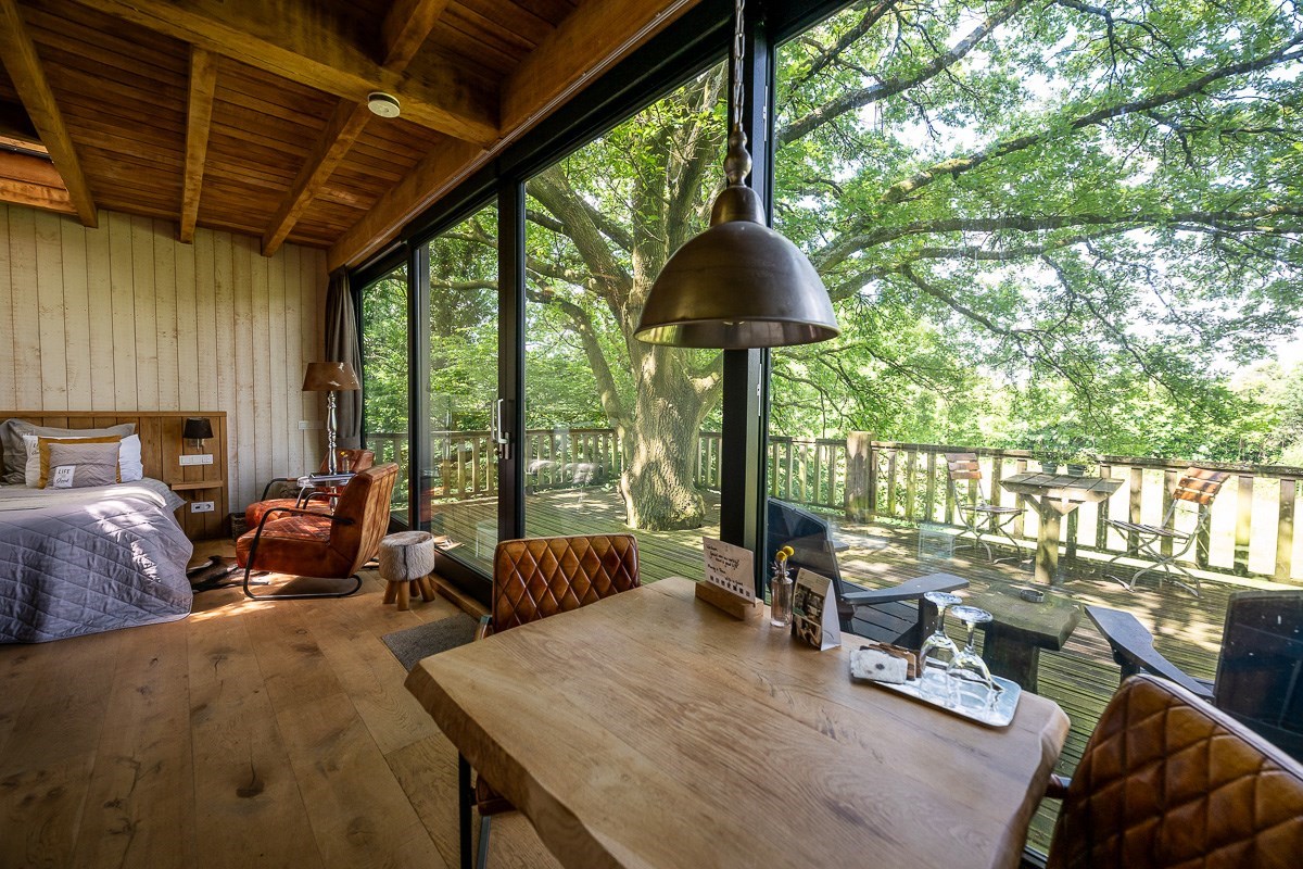 Luxe Boomsuite met sauna