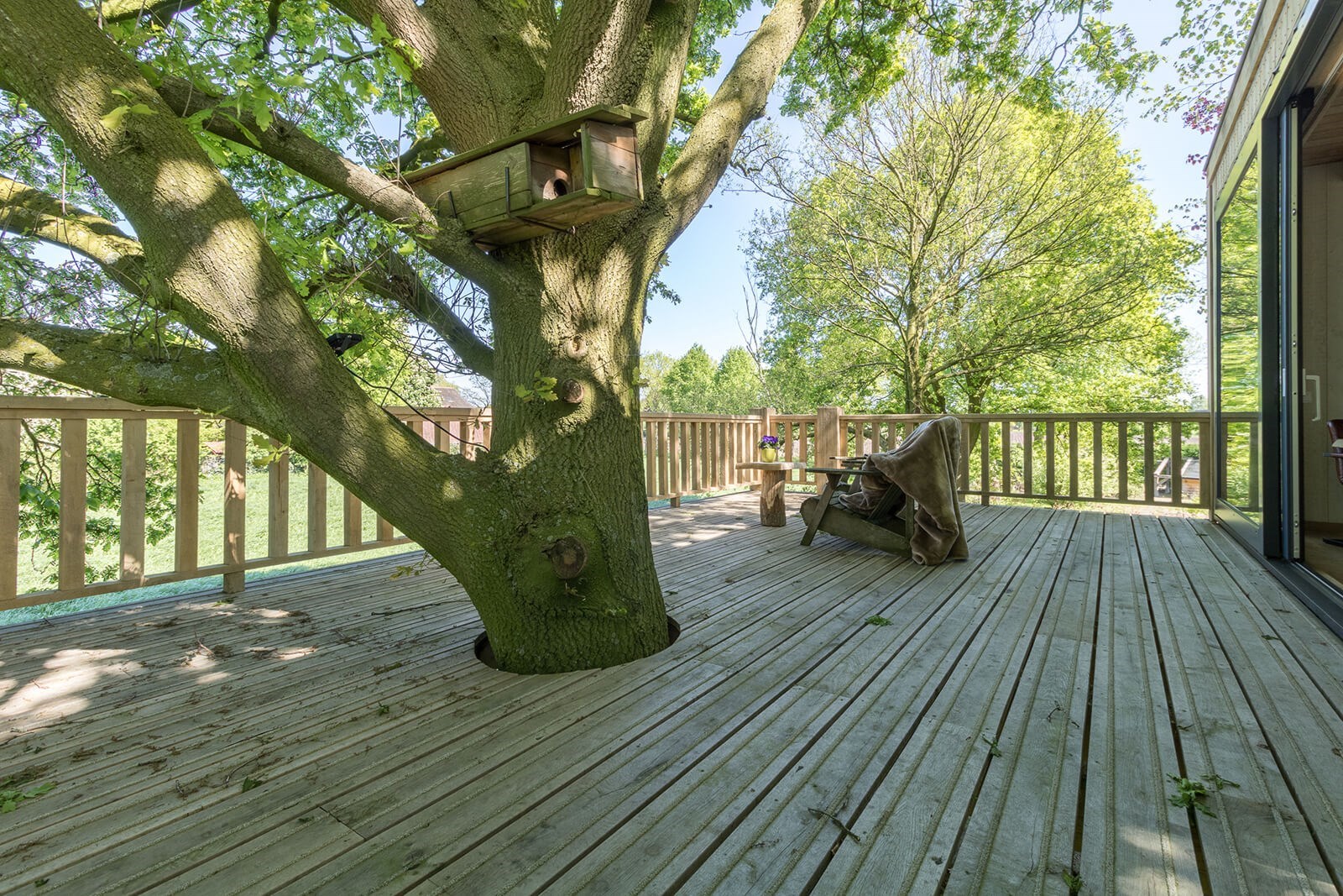 Luxe Boomsuite met sauna en ontbijt
