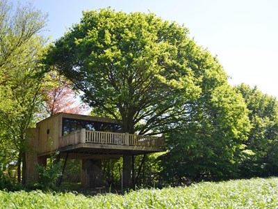 Luxe Boomsuite met sauna Luxe Boomsuite met sauna