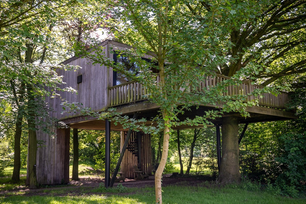 Luxe Boomsuite met sauna