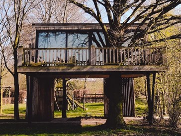 Luxe Boomsuite met sauna Luxe Boomsuite met sauna