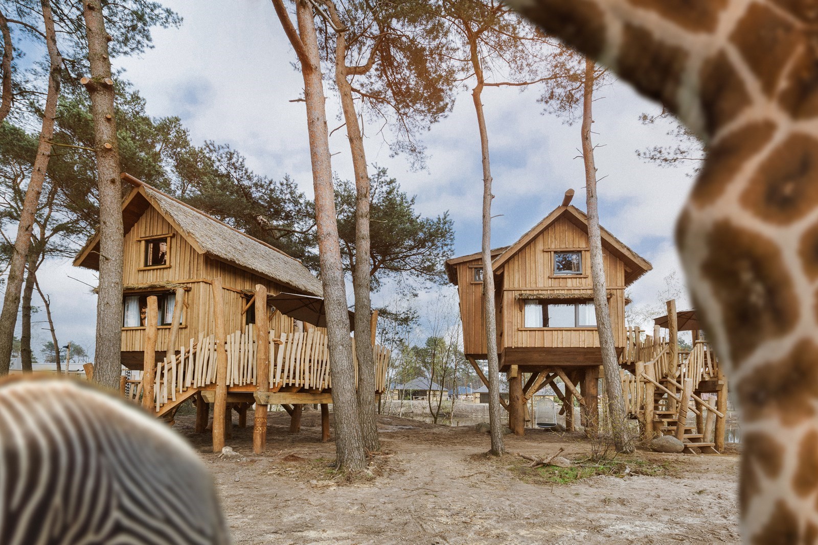 Boomhut met spectaculair uitzicht over de savanne van het safaripark