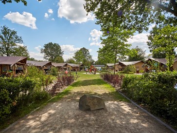 LoungeLodge LoungeLodge
