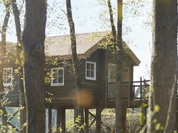 Boomhut Boomhut