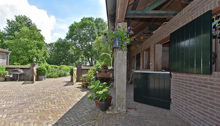 Pony safari op een Brabantse boerderij