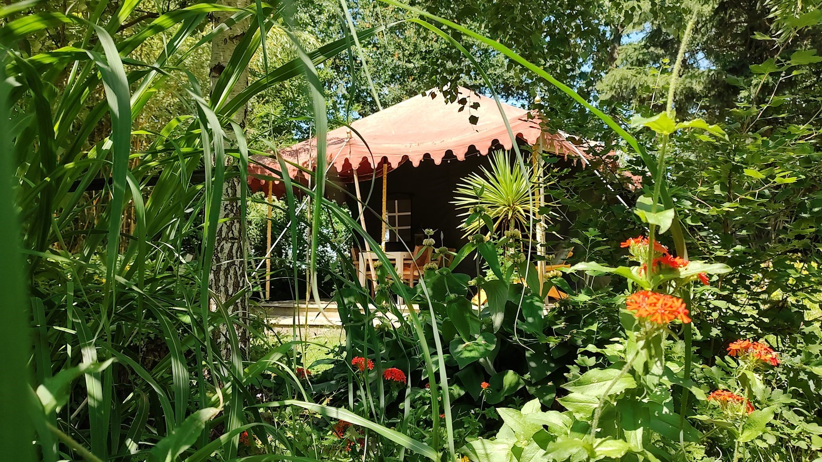 Glamping in een Indiase Radjatent