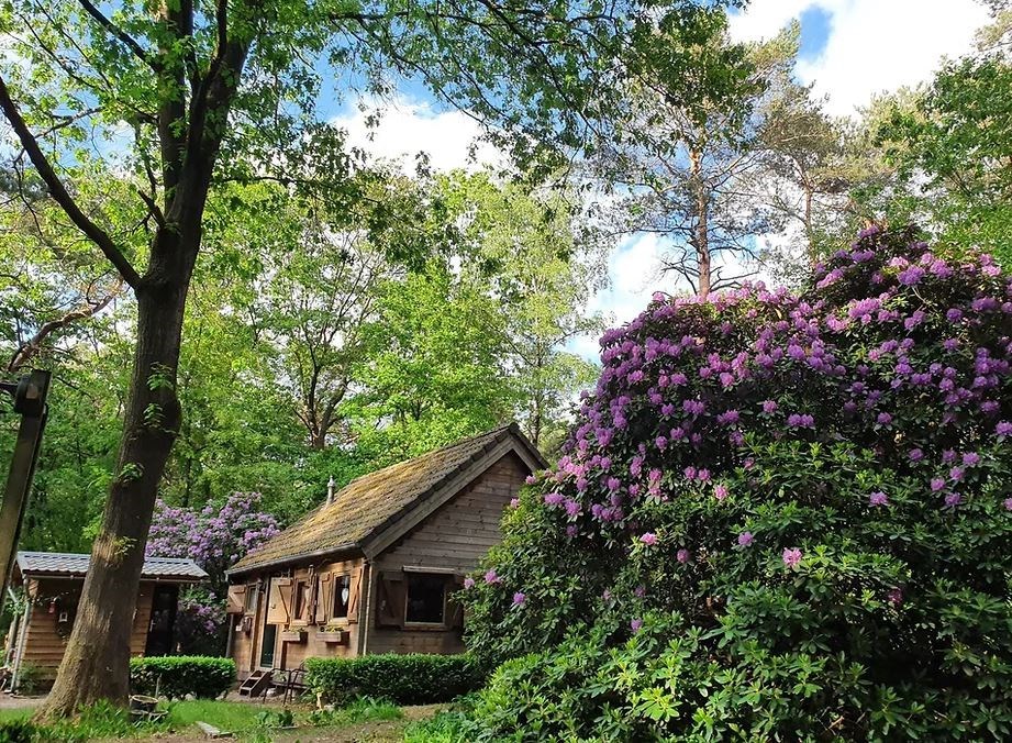 Sfeervol Boshuisje op de Veluwe