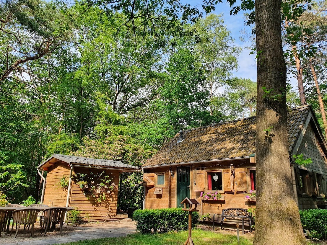 Sfeervol Boshuisje op de Veluwe