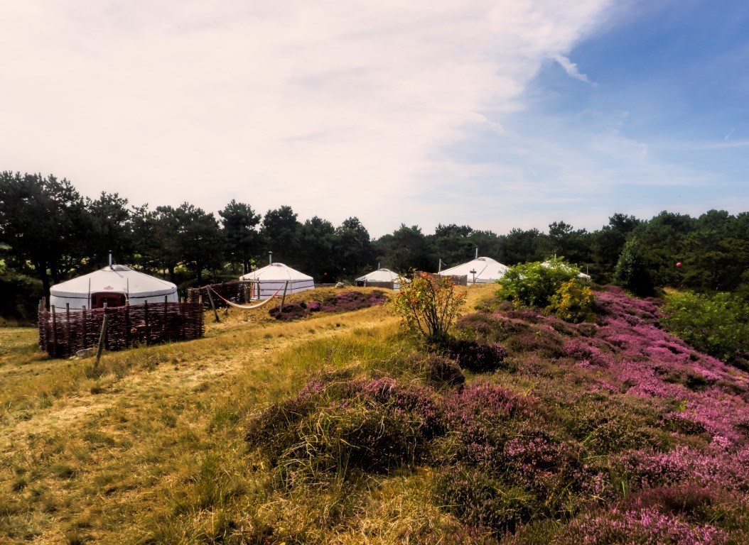 yurts - texel - nederland - glamping