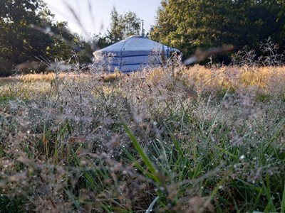 Samen genieten in een fijne Yurt op magisch plekje midden in een bosrijke omgeving Samen genieten in een fijne Yurt op magisch plekje midden in een bosrijke omgeving