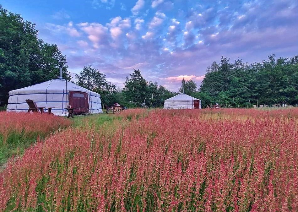 Samen genieten in een fijne Yurt op magisch plekje midden in een bosrijke omgeving