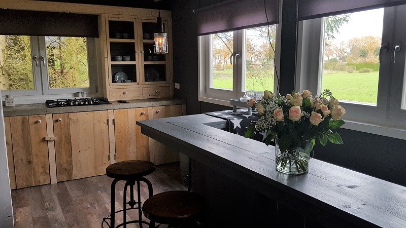 Boomhuis in Scandinavische sferen