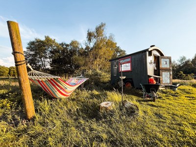 Stoere Sheperdshut Stoere Sheperdshut