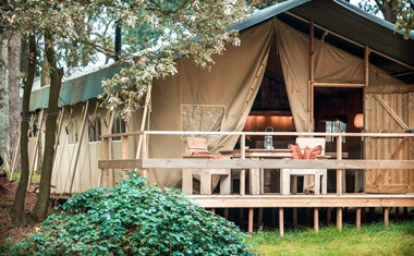 Summer lodge Summer lodge