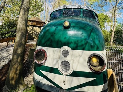 NS Hondekop trein NS Hondekop trein