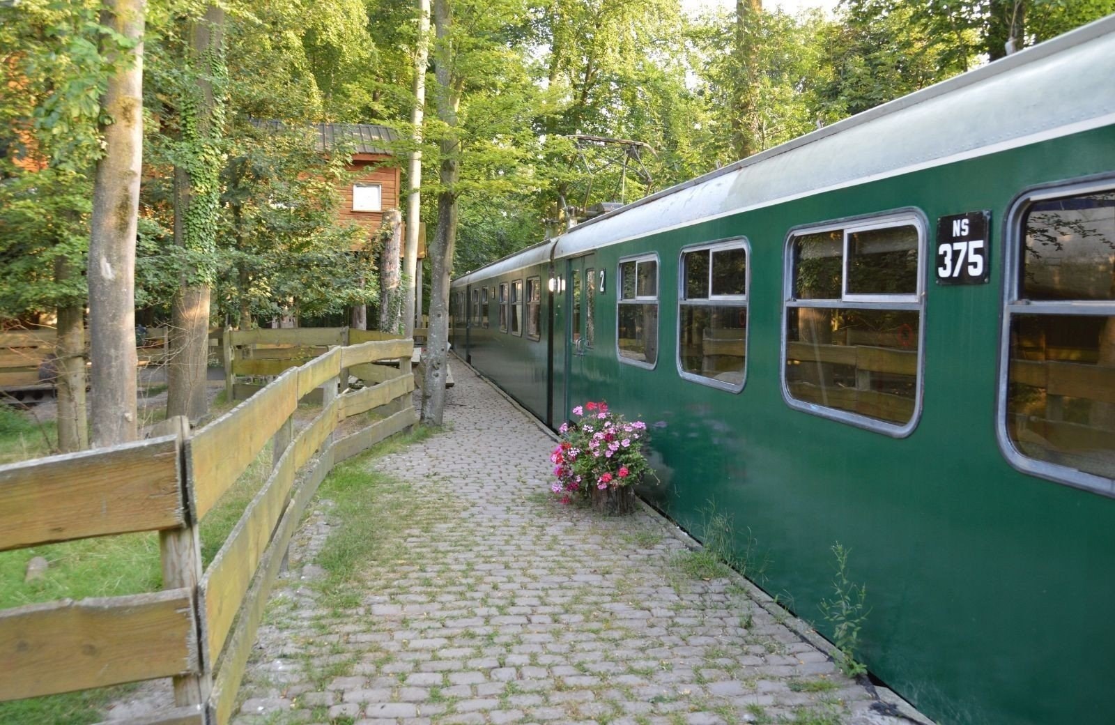 Authentieke NS Hondekop trein