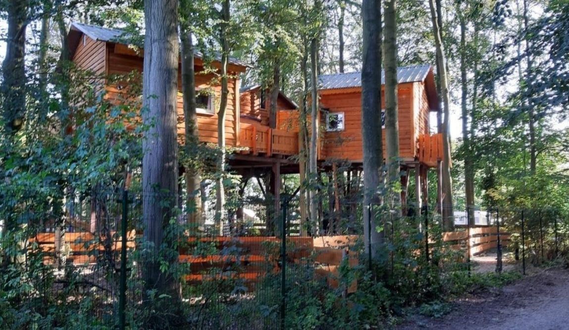 Overnachten in een knusse Boomvilla