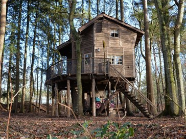 Boomhut Boomhut
