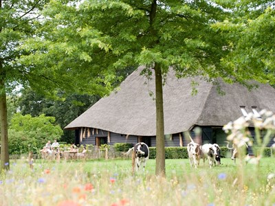 Vakantiehuis 'De Vlaamse Schuur' Vakantiehuis 'De Vlaamse Schuur'