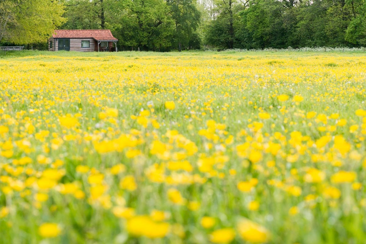 Tolhuisje met uitzicht over de weilanden