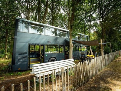 Dubbeldekkerbus in het bos Dubbeldekkerbus in het bos