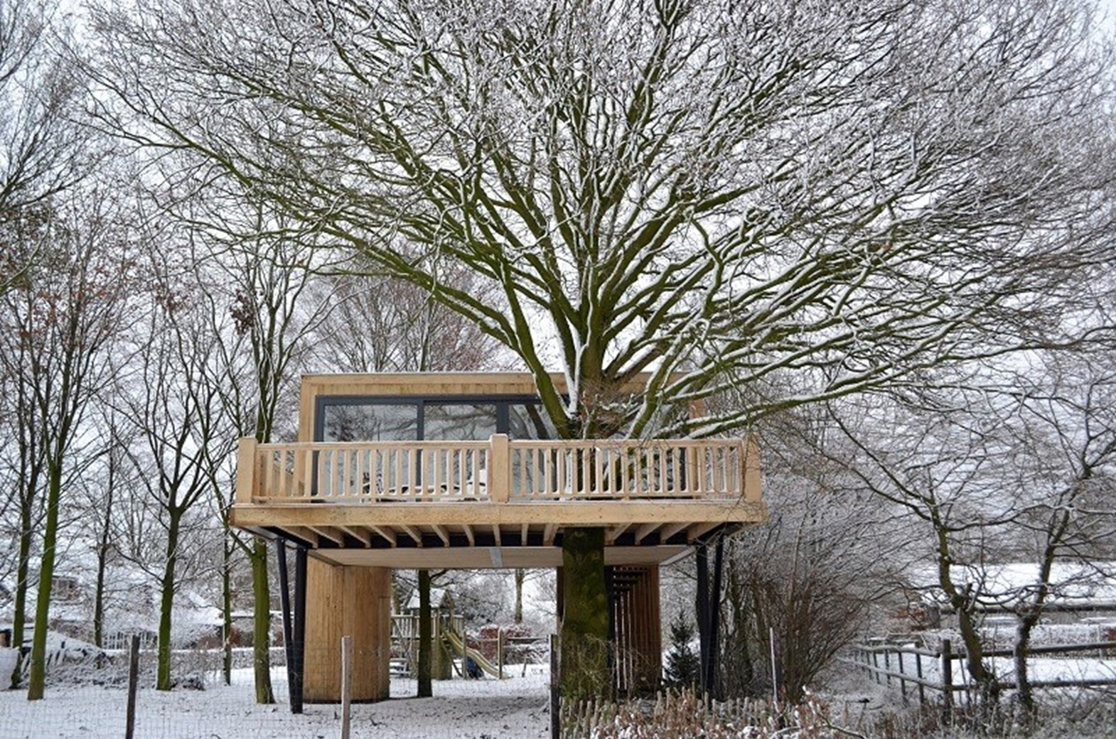 Luxe boomsuite met sauna in Noord-Brabant