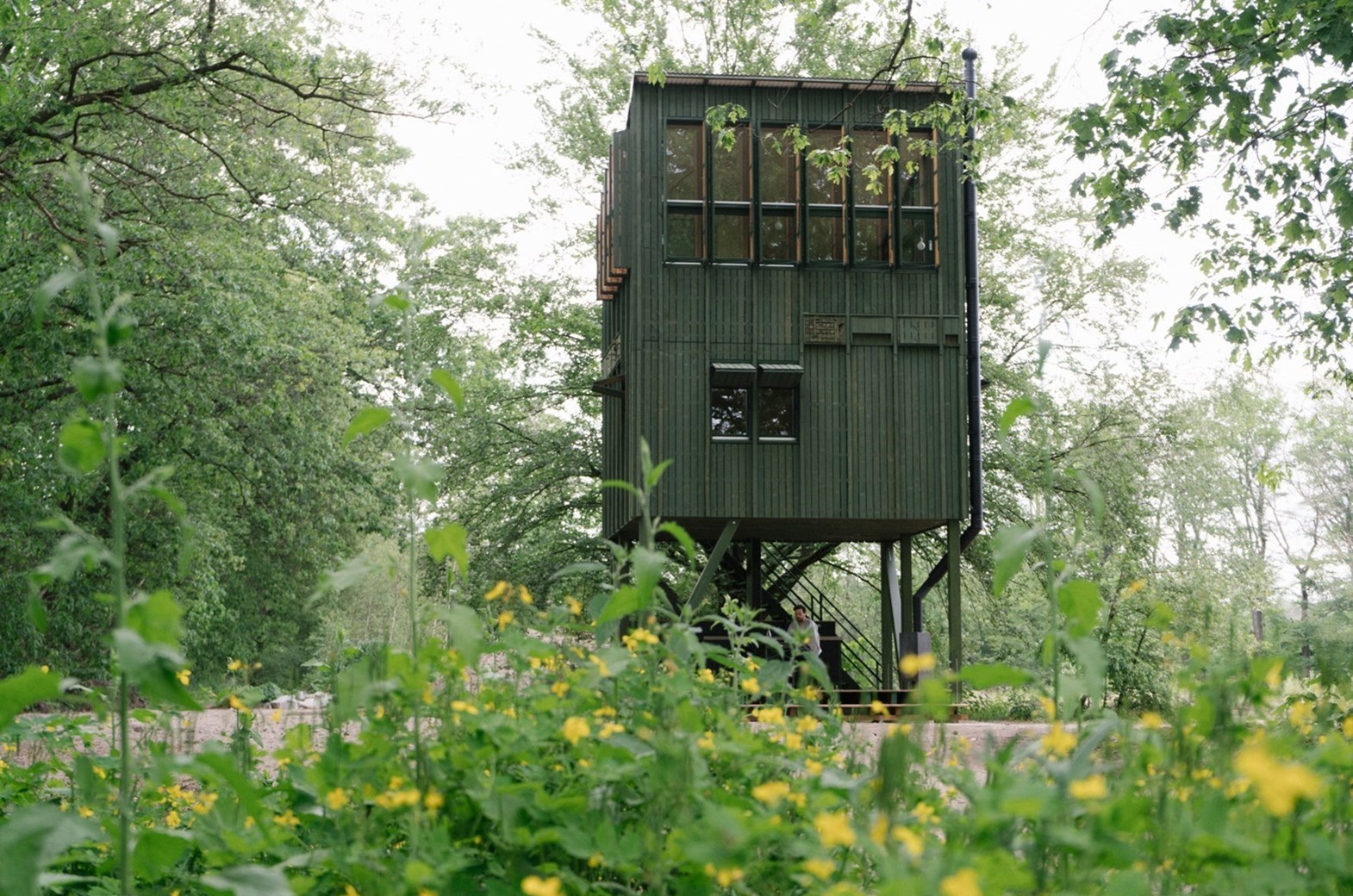 5 Unieke tiny houses in Nederland waar je hond ook welkom is